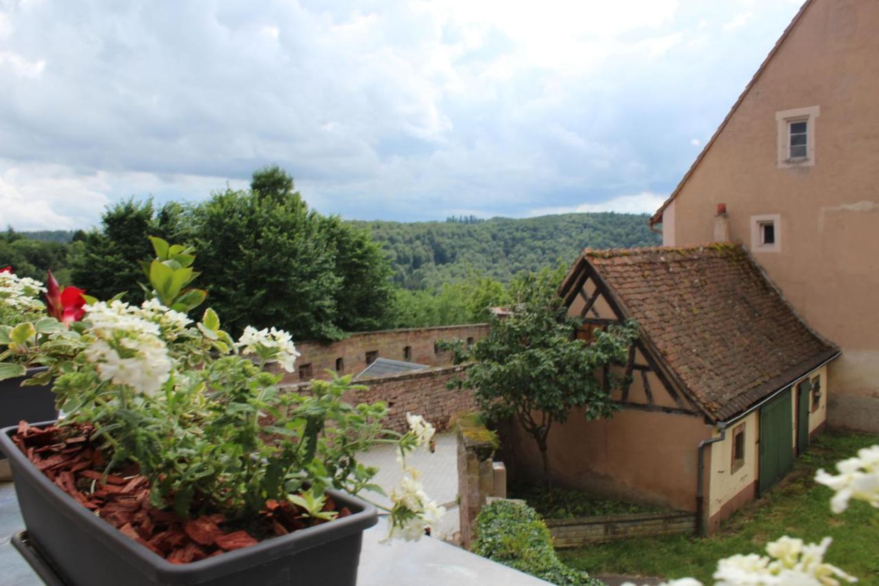 Le Studio "Louise Weiss" La Petite-Pierre Exterior foto